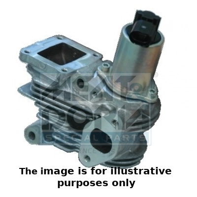 EGR Valve